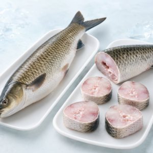 Grass Carp