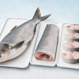 Silver Carp