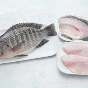 Tilapia